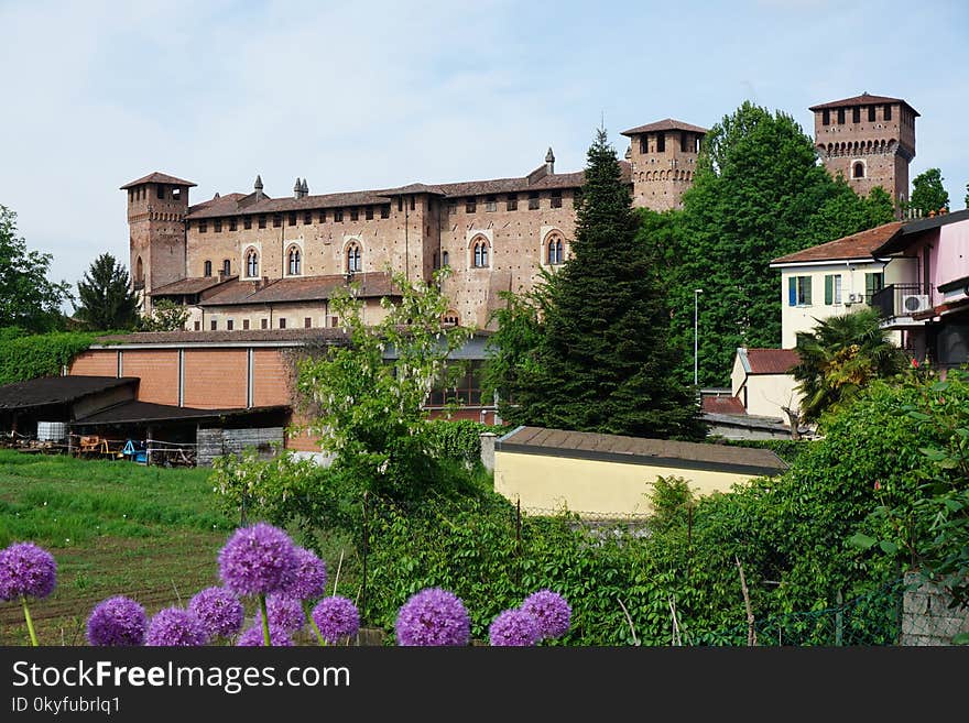 Plant, Flower, Estate, Villa