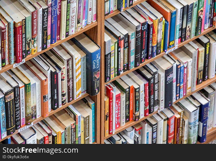 Library, Public Library, Bookcase, Bookselling