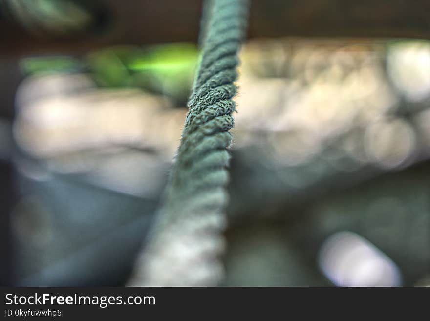 Close Up, Hand, Finger, Macro Photography