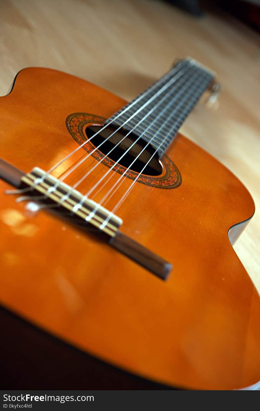 Musical Instrument, Guitar, String Instrument, Bass Guitar