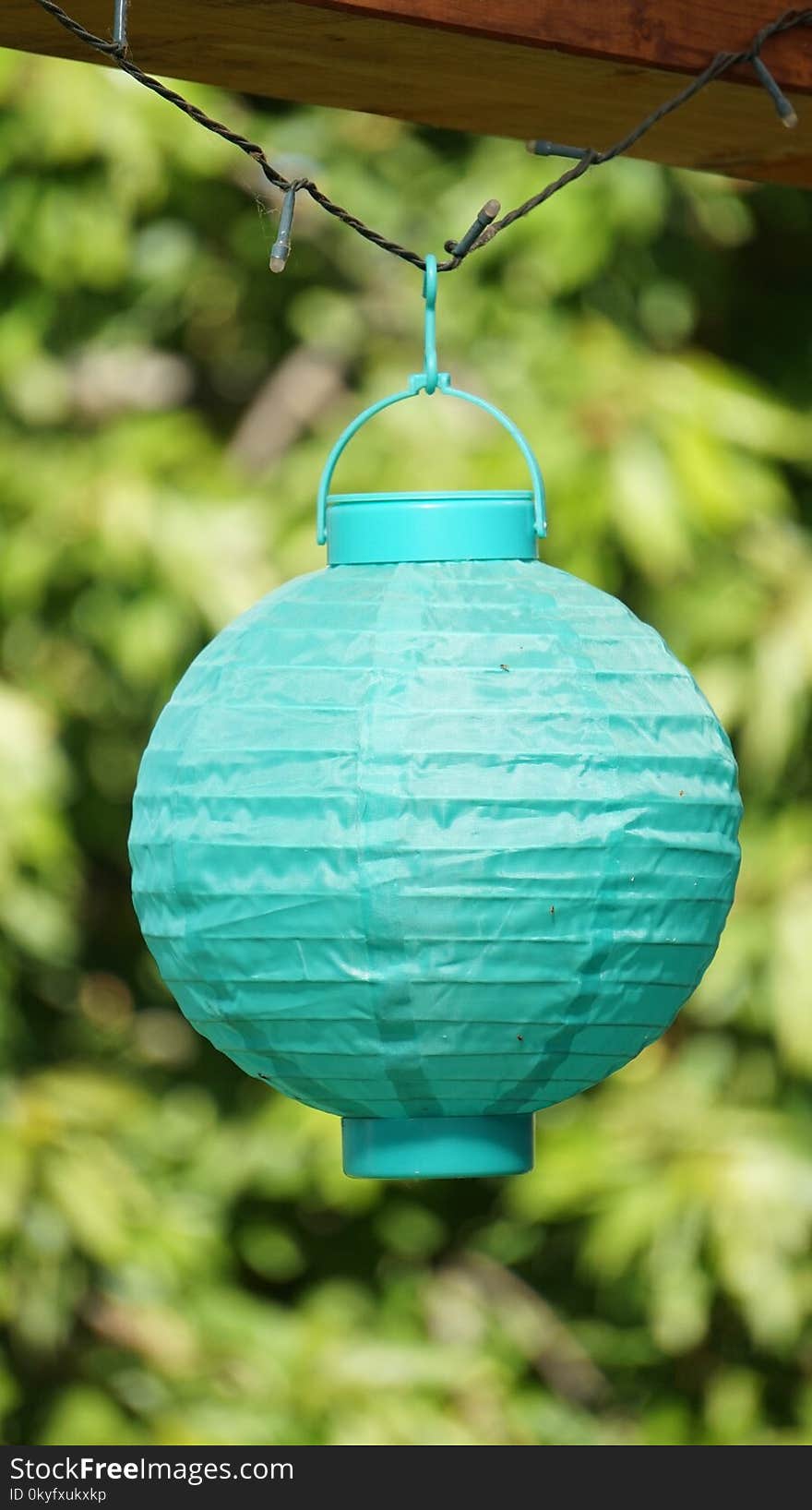 Green, Lighting, Turquoise, Bird Feeder