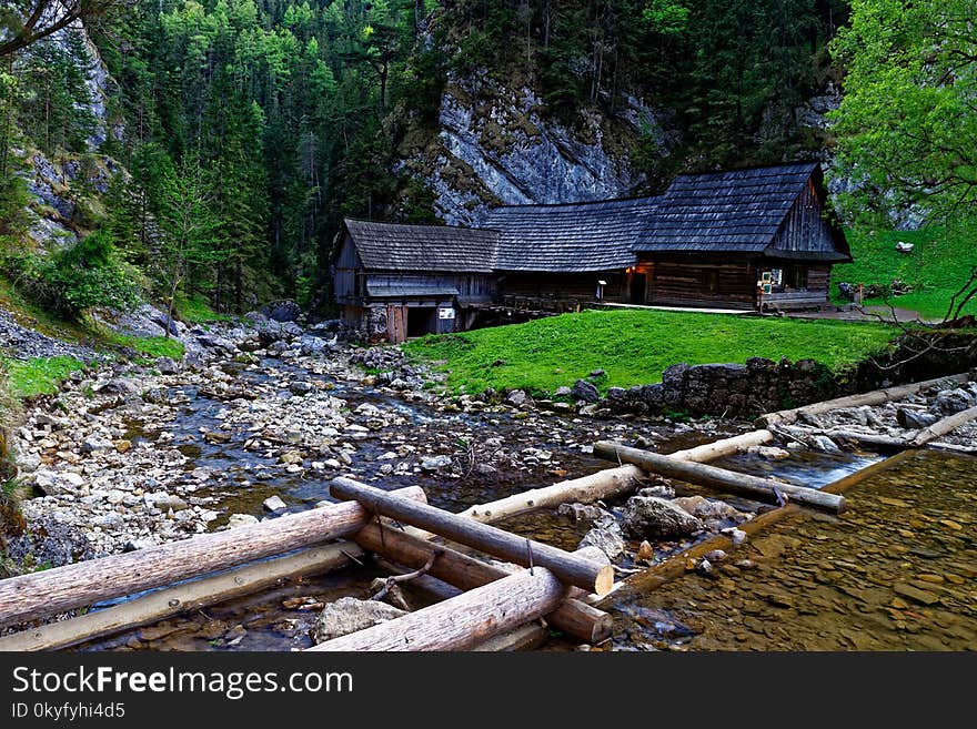 Nature, Water, Wilderness, Stream