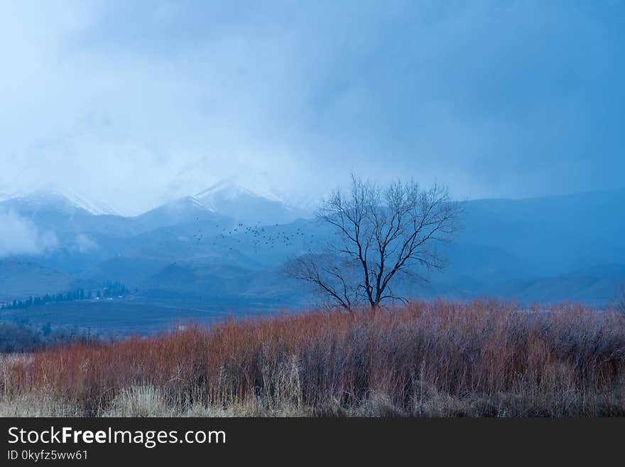 Sky, Mountainous Landforms, Highland, Mountain