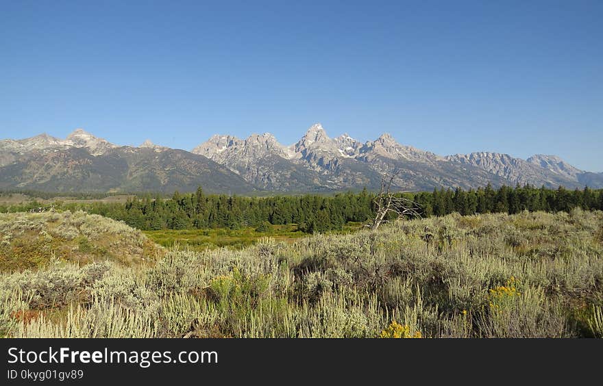 Ecosystem, Wilderness, Mountainous Landforms, Vegetation