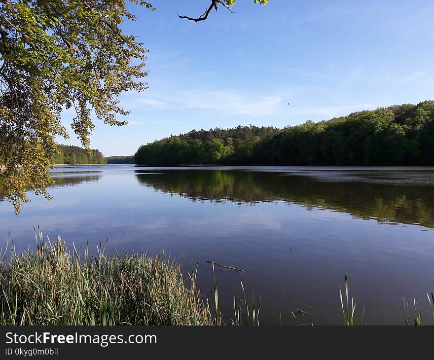 Reflection, Water, Nature, River