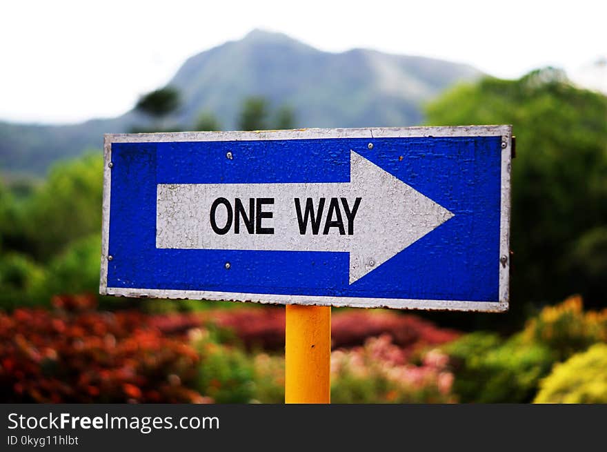 Blue, Nature, Sky, Street Sign