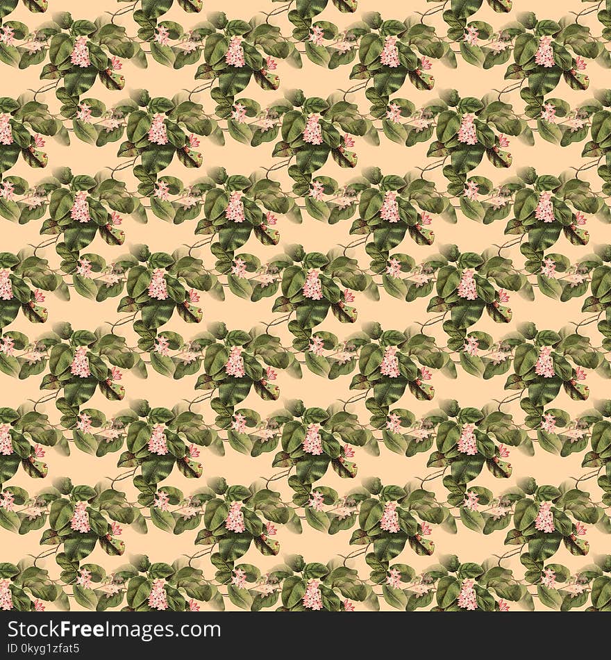 Military Camouflage, Leaf, Pattern, Tree