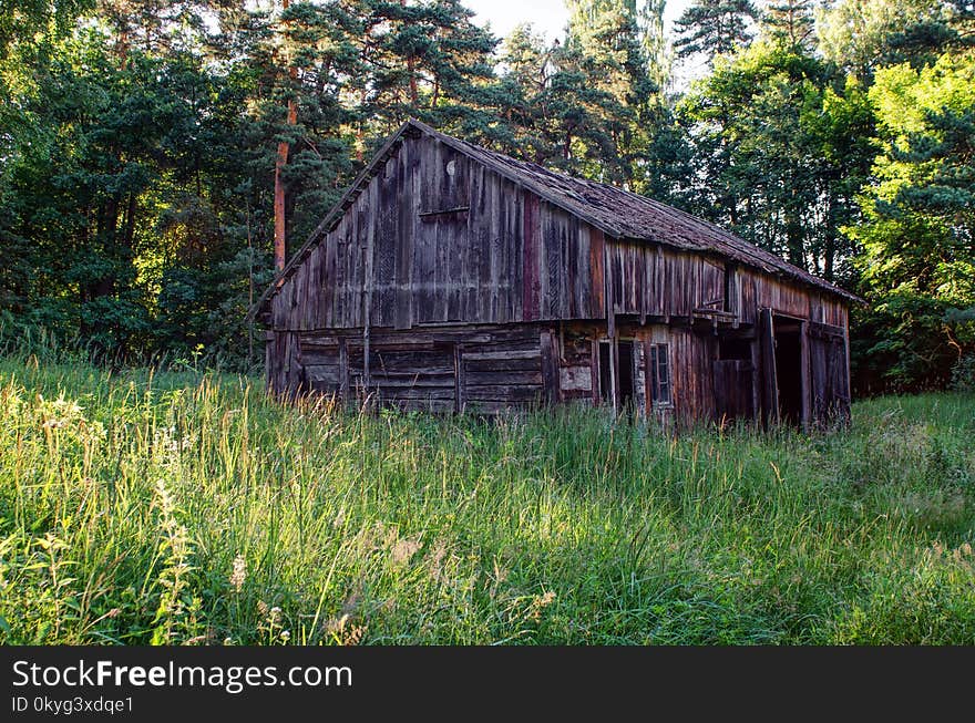 Barn, Shack, Nature Reserve, Grass