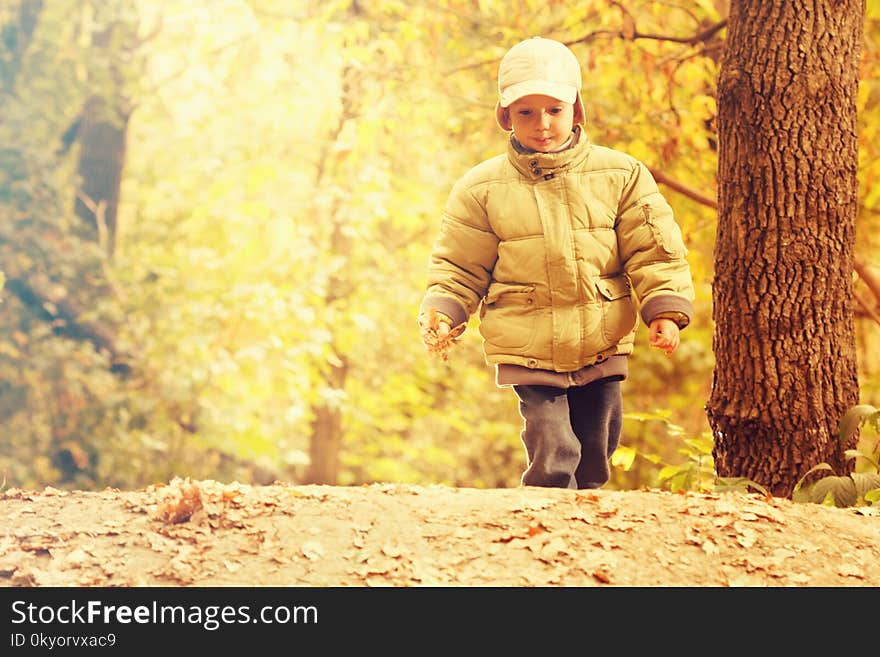 Little boy walking at warm sunny fall day in the park