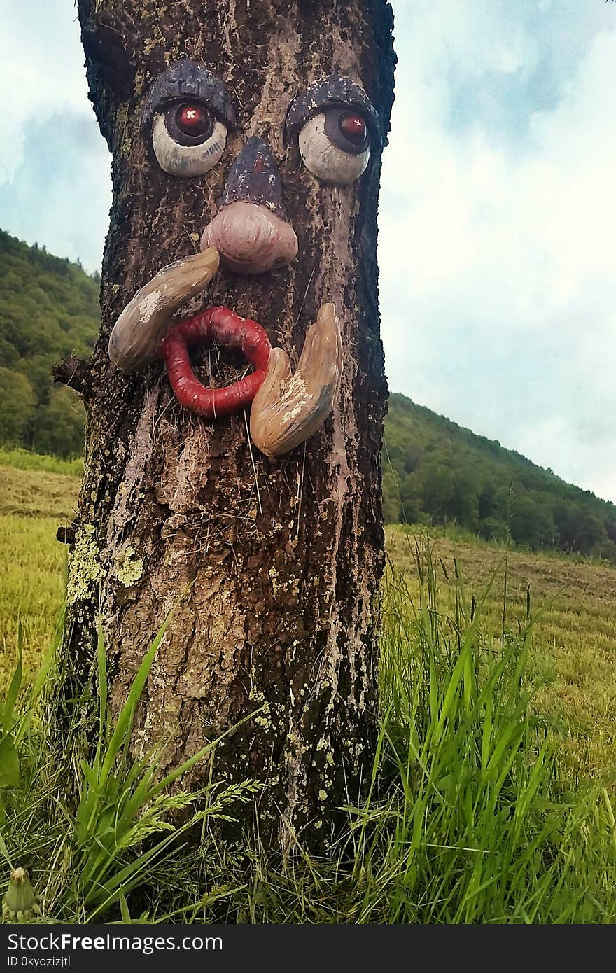 Wisened Tree with a face wants to tell you the secrets of the valley. Wisened Tree with a face wants to tell you the secrets of the valley