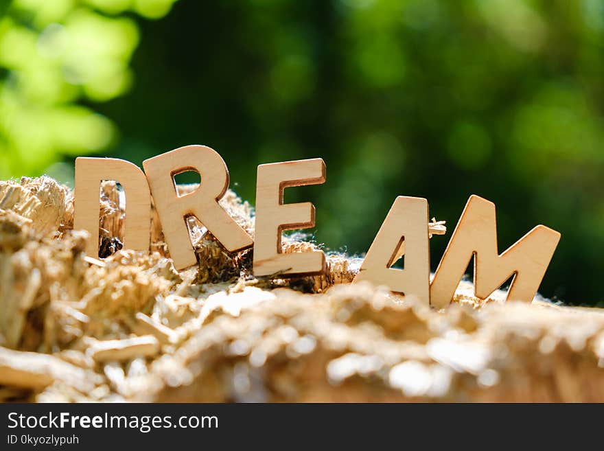 Wooden letters spelling out the word dream on nature background concept.