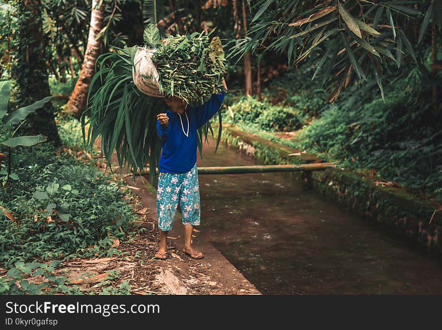 Man in Blue Long-sleeved Shirt and White and Green Floral Shorts Carrying Green Plants