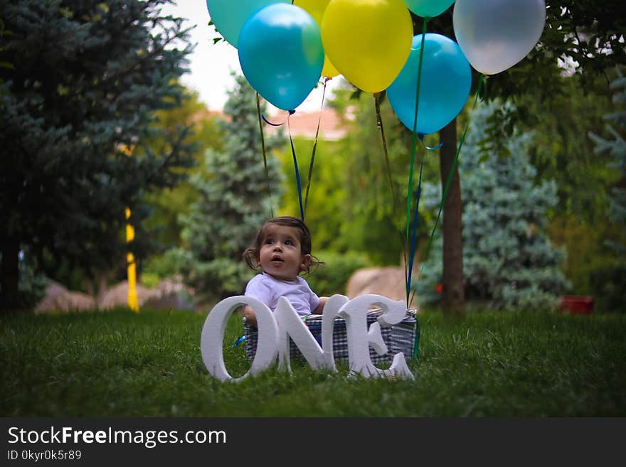 Baby Inside A Basket