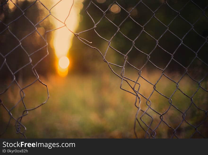 Gray Wire Fence