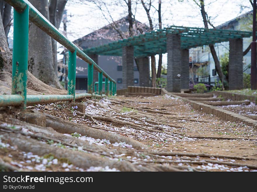 Gray and Green Building Structure Near Bare Trees