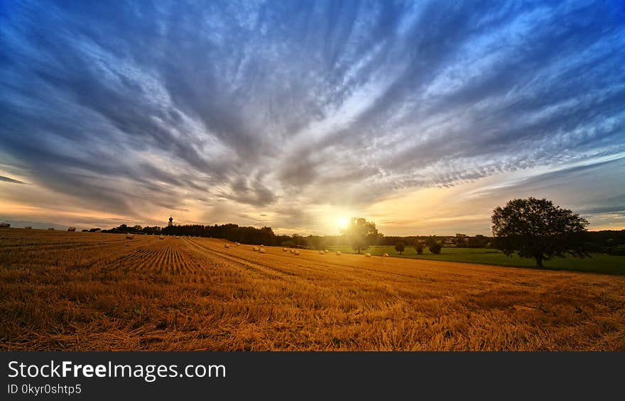 Photo of Brown Field during Sunrise