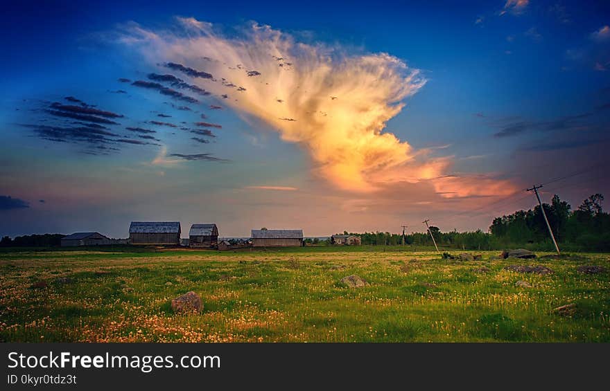 Green Grass Field Under Horizon Photography