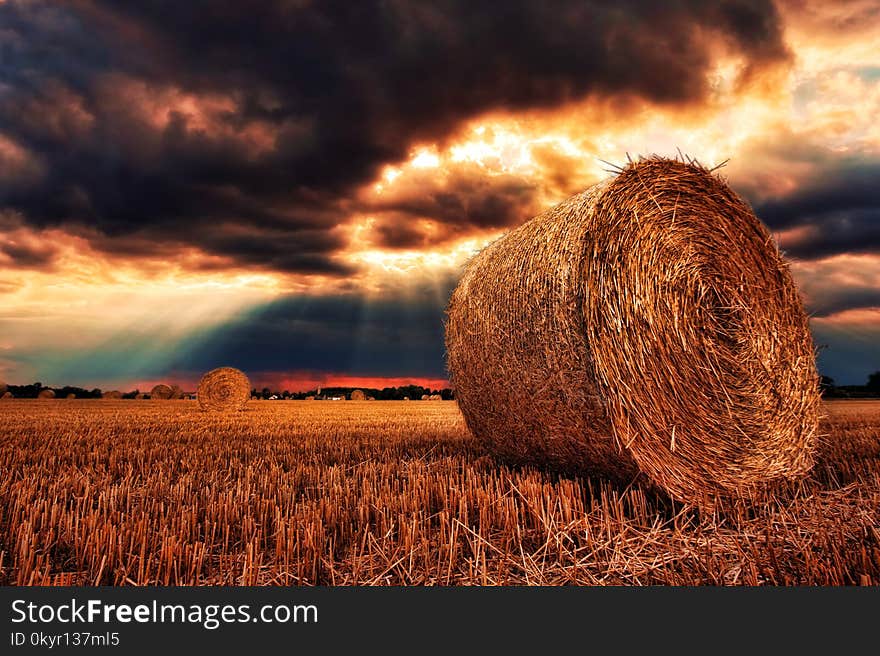 Brown Round Bale