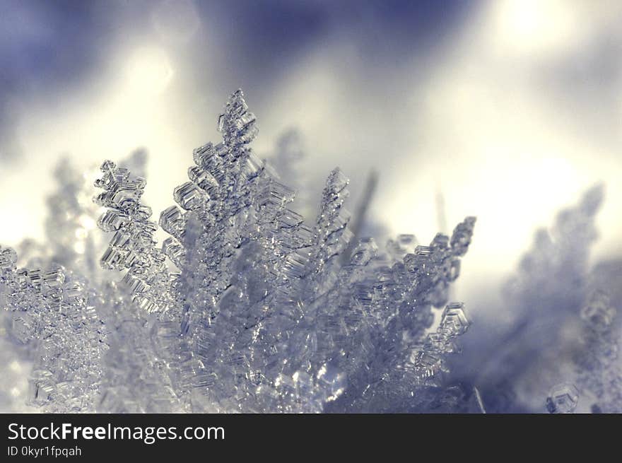 Depth of Field Photography of Ice Shards