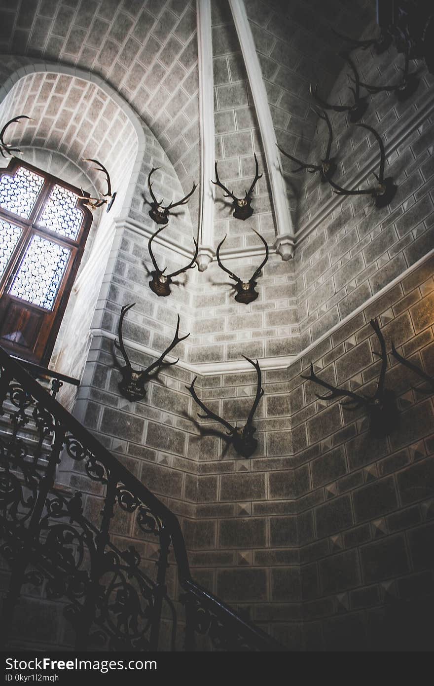 White Concrete Building Interior With Antlers Hanging