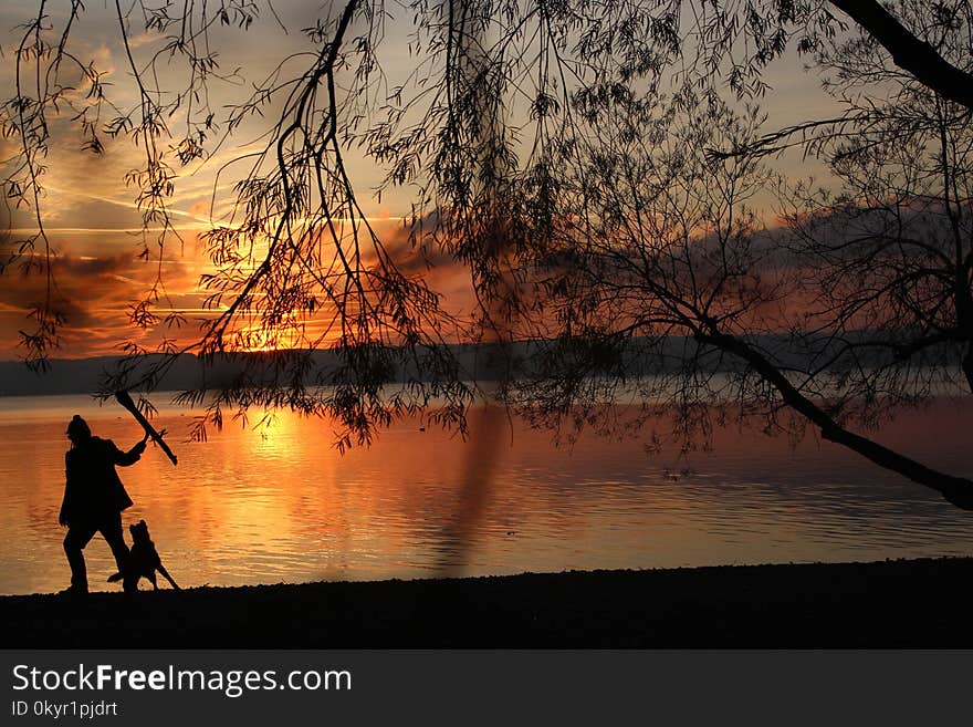 Silhouette of Human and Dog Near Body of Water