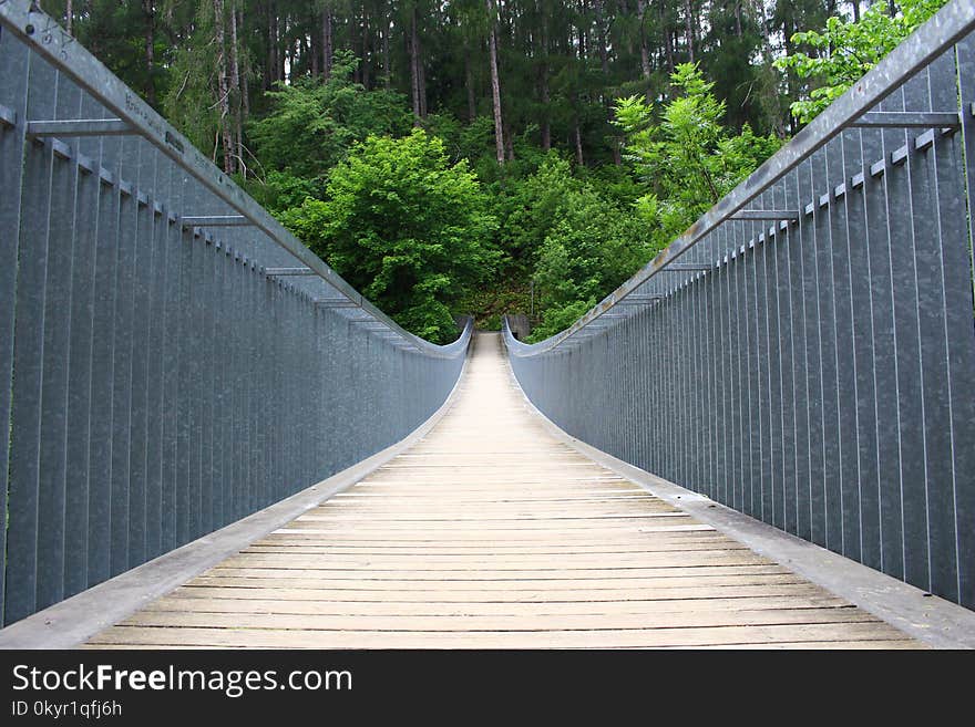 Gray and Brown Concrete Bridge