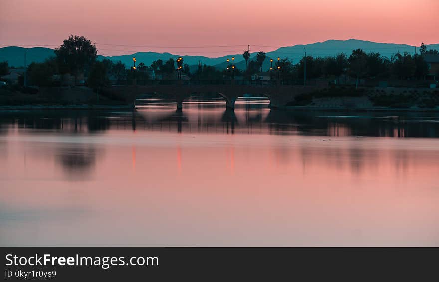 Calm Body of Water Surrounded by Trees