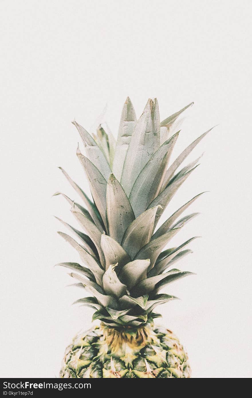 Photography Of Pineapple