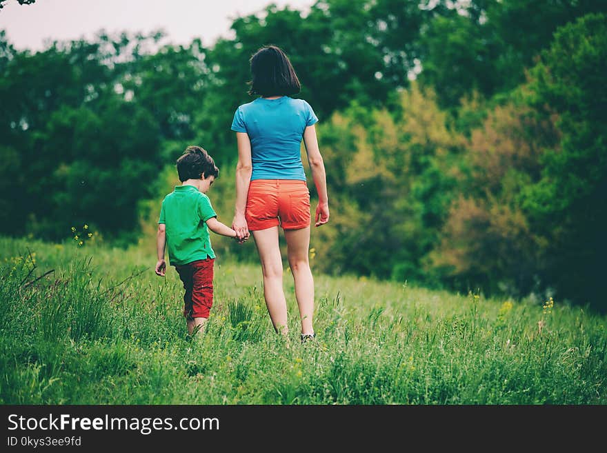 The boy walks with his mother in the meadow. A women holds her son by the hand. The kid and mom are walking along the field. Green grass.