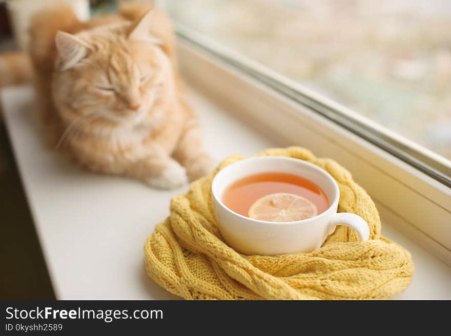 The Red Cat Smells A Hot Cup Of Tea In A Scarf On A Window Sill