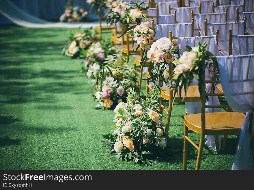 At the corner of the lawn wedding, we can see flowers, bouquets and slub chairs. After the sluice chairs are decorated with ribbons, they are very nice. Flowers seem to be seasonal, with roses, Hydrangea and so on. At the corner of the lawn wedding, we can see flowers, bouquets and slub chairs. After the sluice chairs are decorated with ribbons, they are very nice. Flowers seem to be seasonal, with roses, Hydrangea and so on.