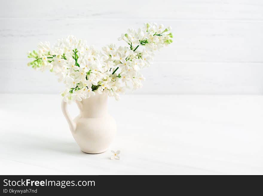 Blooming white lilac in ceramic vase jar on white table background with copy space. Blooming white lilac in ceramic vase jar on white table background with copy space