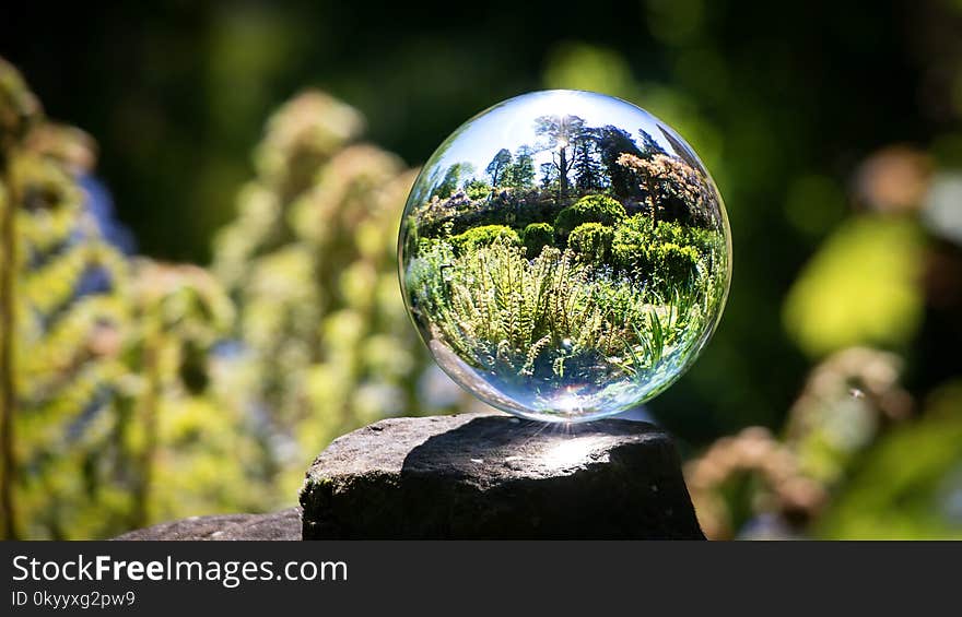 Water, Sphere, Reflection, World