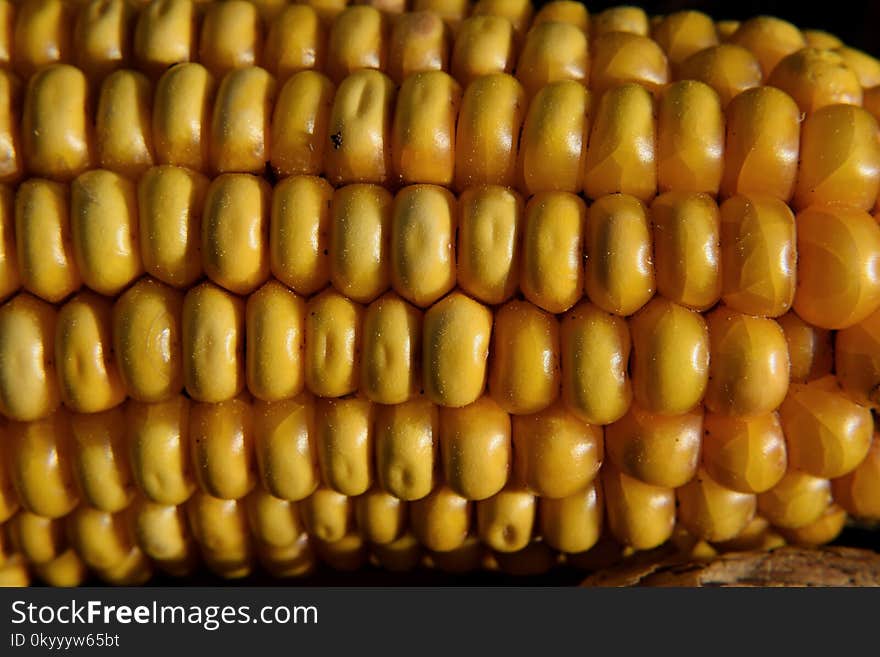 Corn Kernels, Sweet Corn, Corn On The Cob, Vegetarian Food