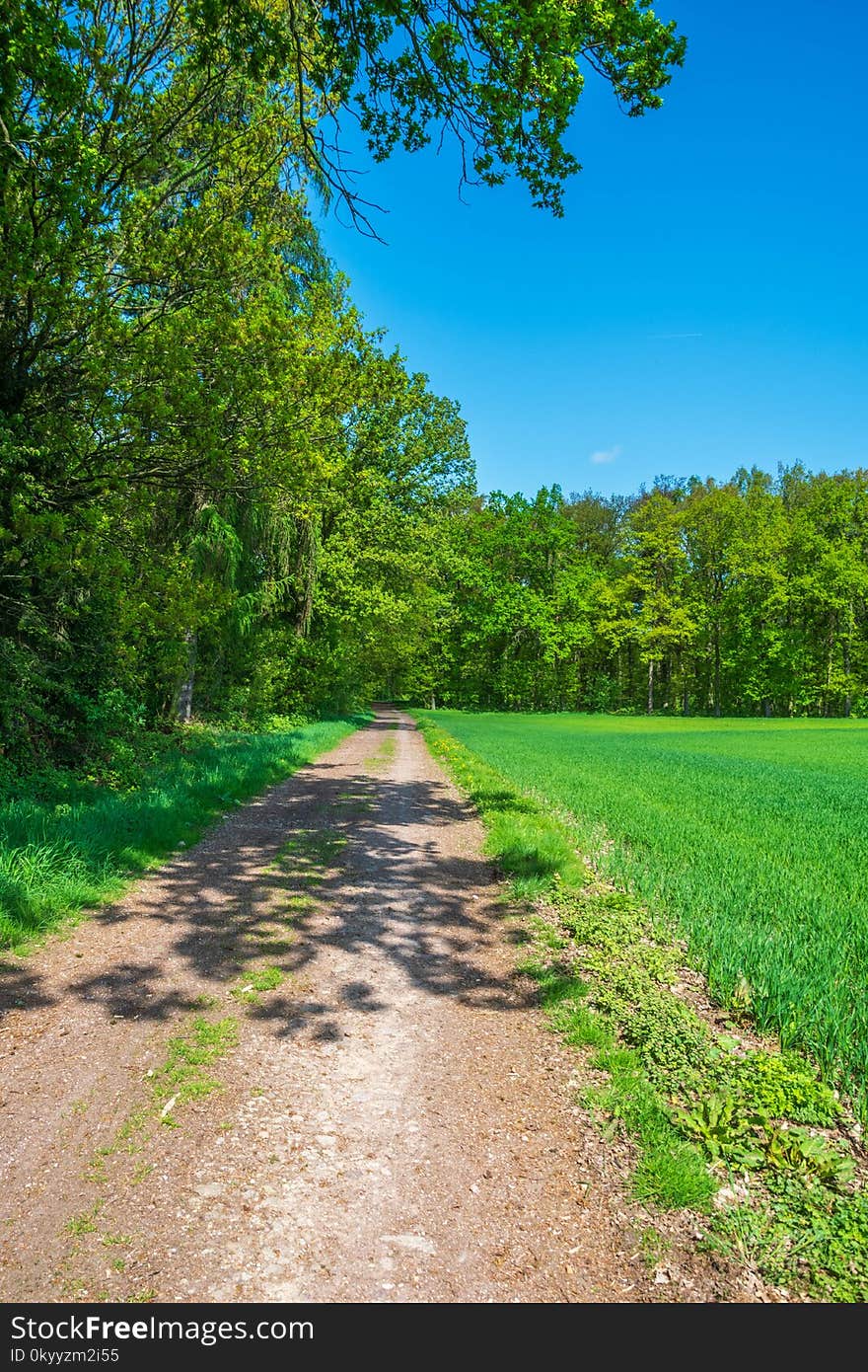 Road, Path, Nature, Sky