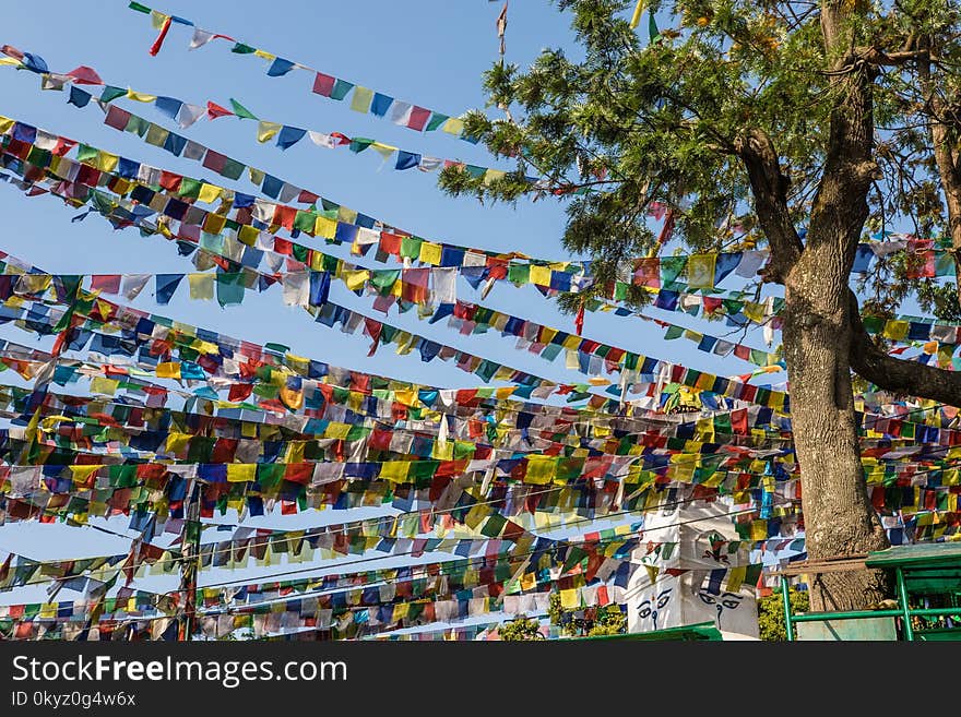 Fair, Tree, Leisure, City