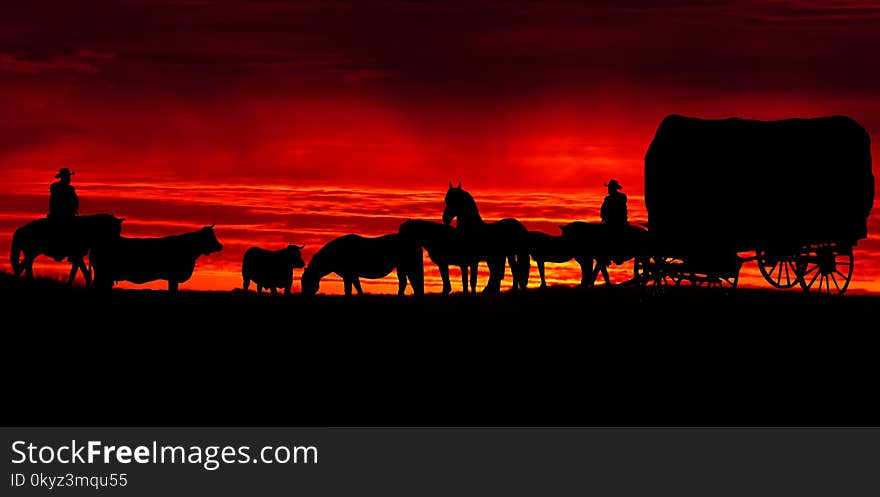 Sky, Geological Phenomenon, Heat, Sunset