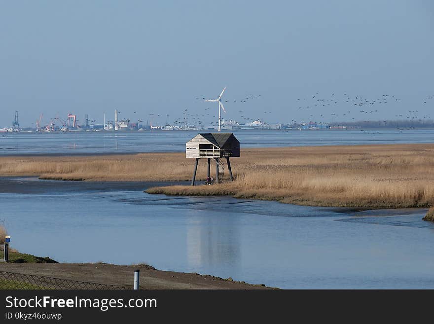 Water, Wetland, Sea, Shore