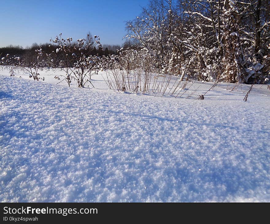 Snow, Winter, Sky, Freezing