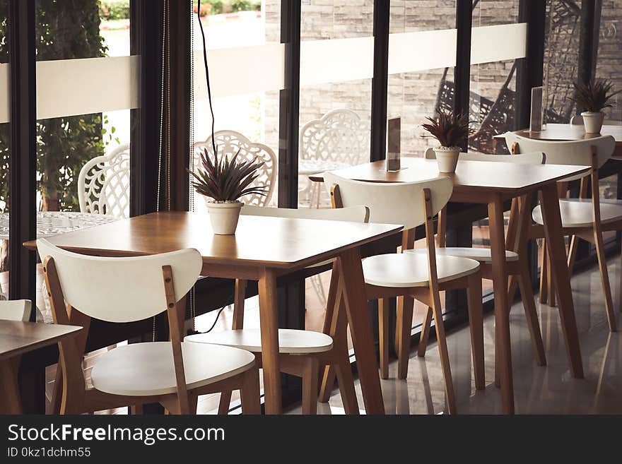 Tree pots placed on the table of a coffee shop