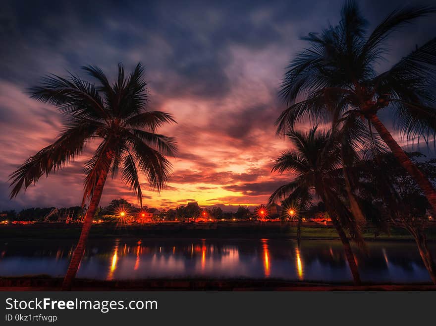 Silhouette coconut palm trees near the river at sunset. Vintage tone.