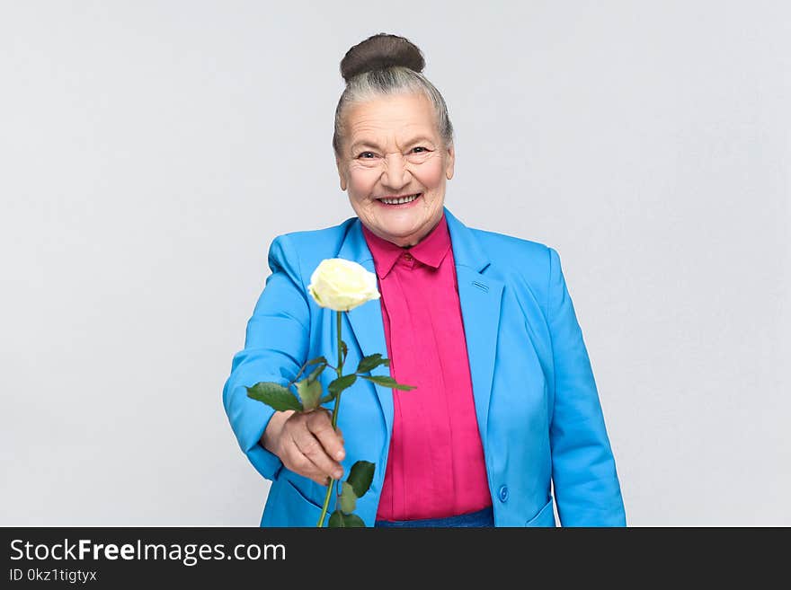 Happiness old woman present for you white rose. handsome expressive grandmother with light blue suit and pink shirt standing with collected bun gray hair. Studio shot, isolated on gray background. Happiness old woman present for you white rose. handsome expressive grandmother with light blue suit and pink shirt standing with collected bun gray hair. Studio shot, isolated on gray background