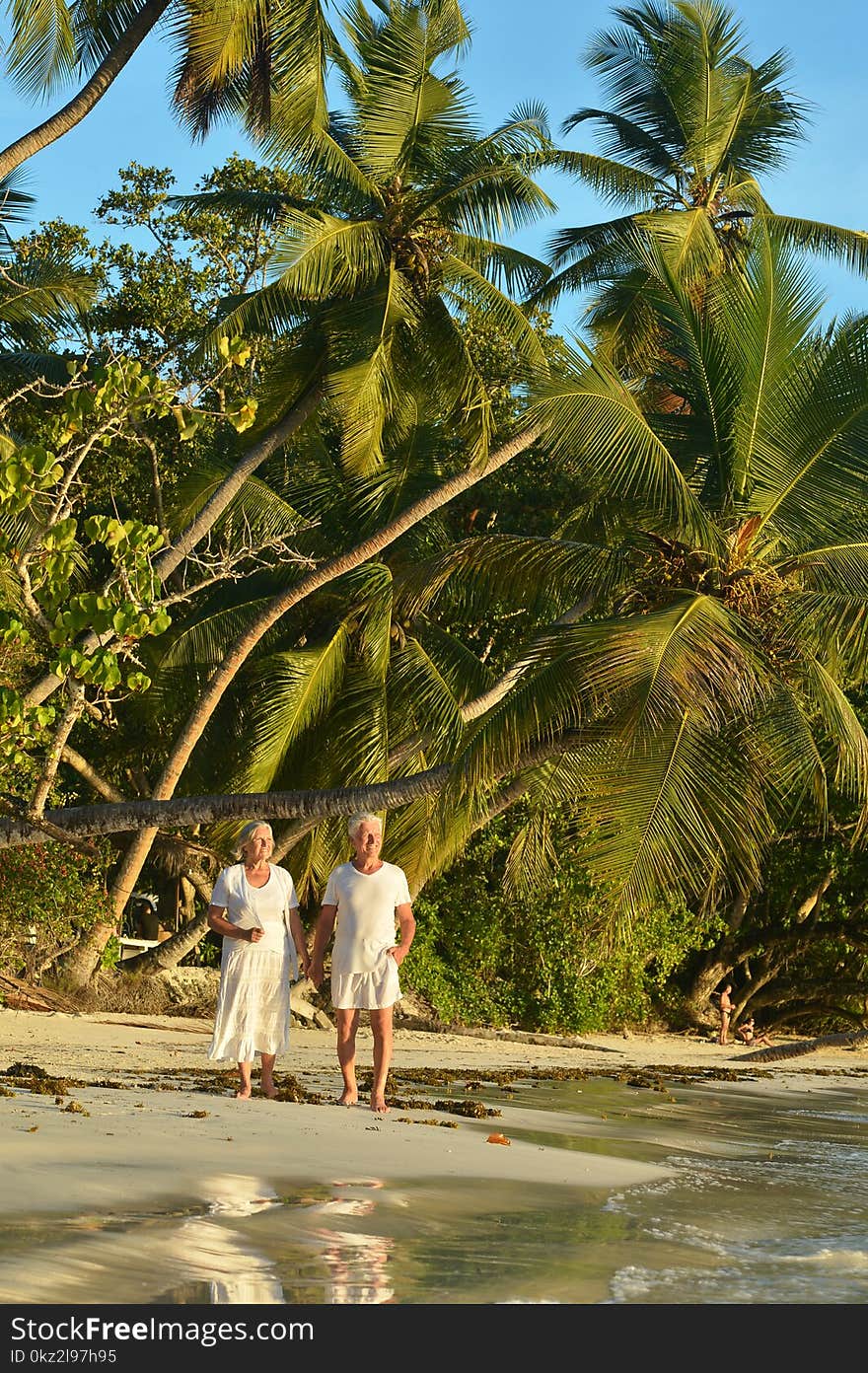 Happy elderly couple walking on tropical beach