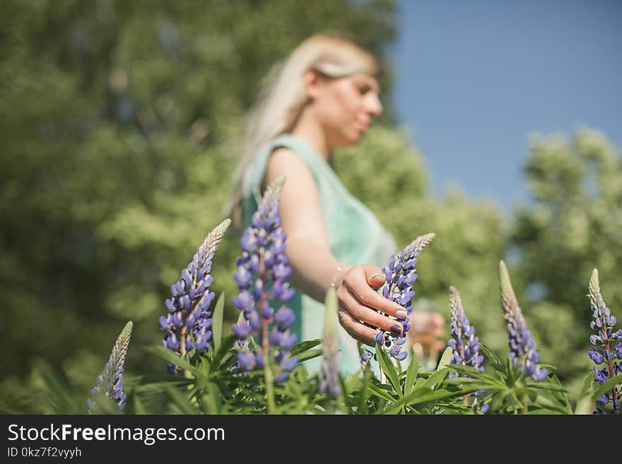 The girl is standing in the field of lupines