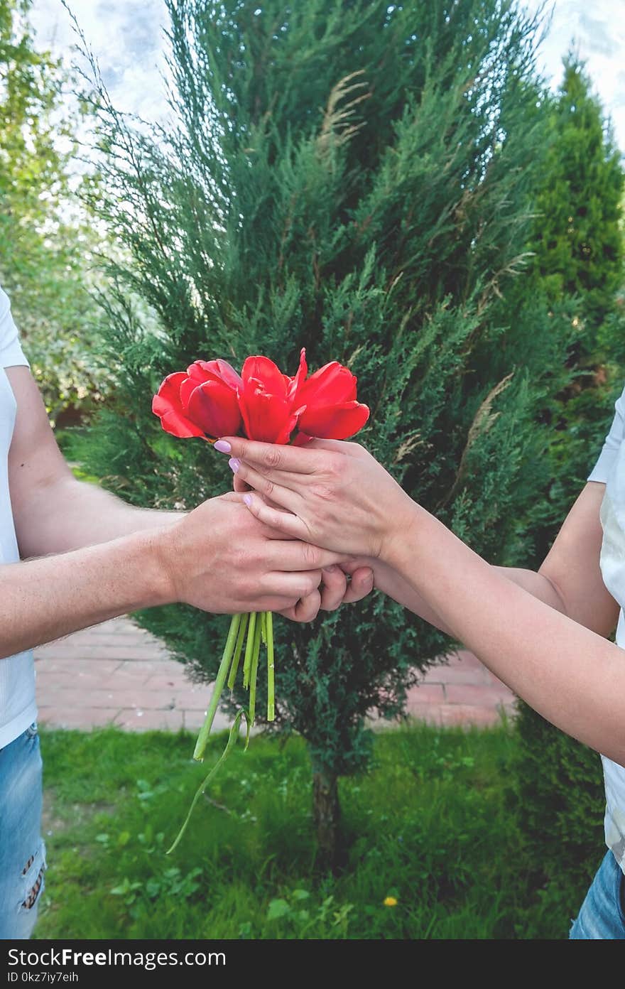 Loving couple holding a bouquet of tulips on a background of beautiful trees. A man gives his beloved flowers. The