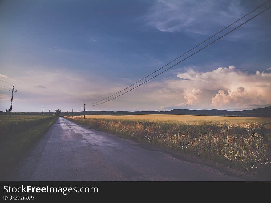 Concrete Road Between Grass Fields