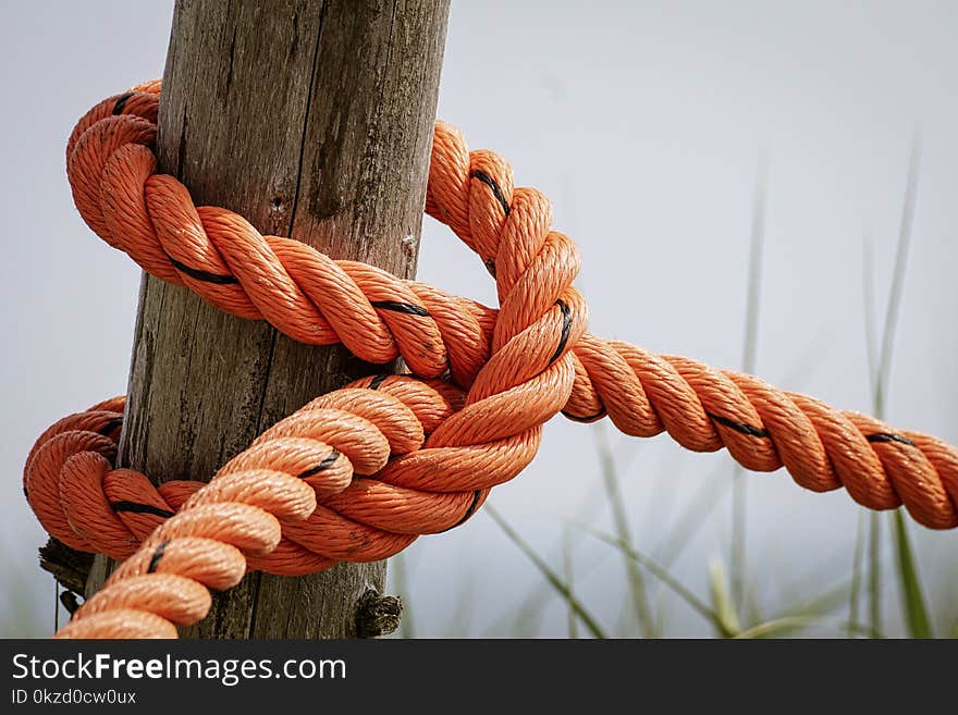 Orange Rope Wrapped Brown Wood Log