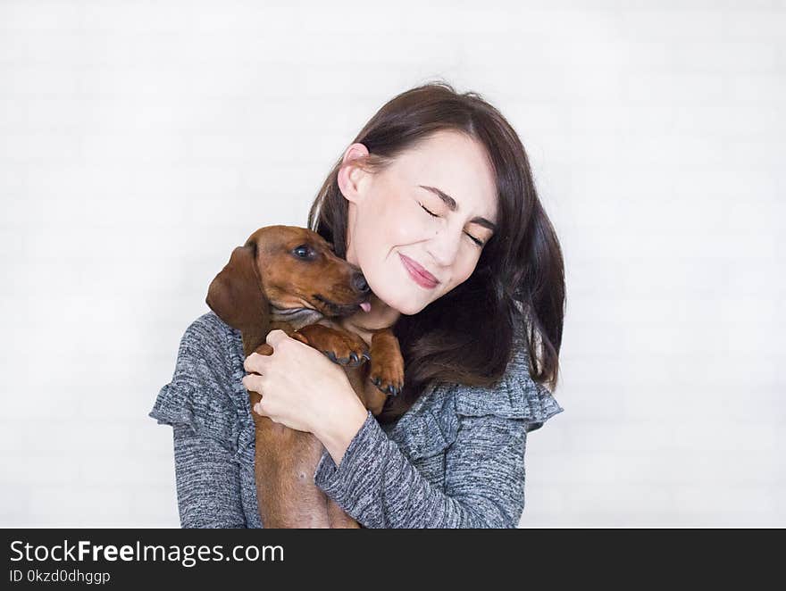 Woman In Grey Top Hugging Brown Dachshund