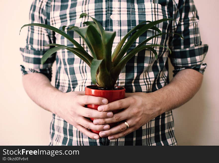 Person Holding Potted Green Leaf Plant