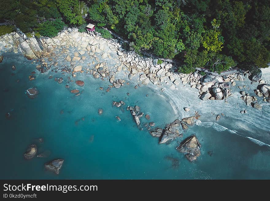 Bird&#x27;s Eye View of Rocky Shore